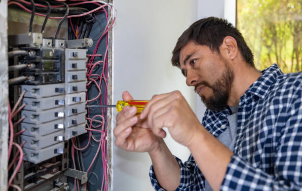 Best Electric Panel Repair  in Rotan, TX